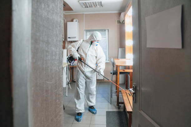 Best Real Estate Mold Inspection  in North Grosvenor Dale, CT