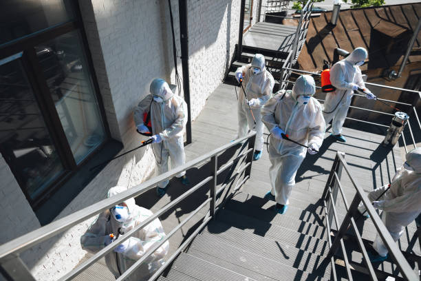 Best Airborne Mold Testing  in North Grosvenor Dale, CT