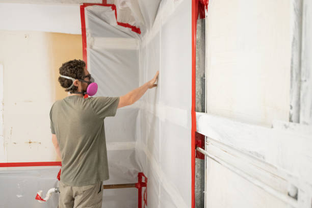 Best Mold Odor Removal Services  in North Grosvenor Dale, CT