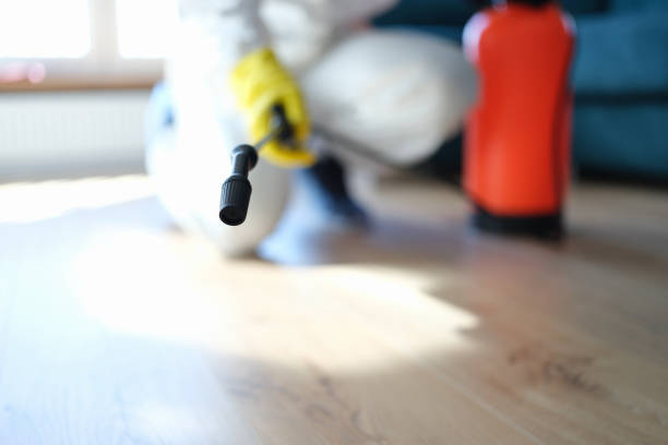  North Grosvenor Dale, CT Mold Removal Pros