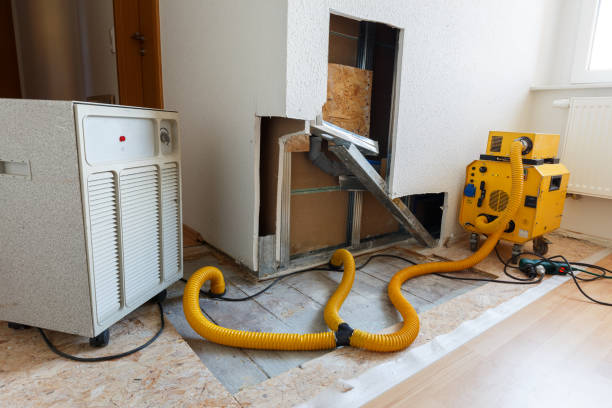Best Mold Documentation for Insurance Claims  in North Grosvenor Dale, CT